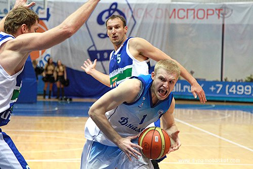 ����� ������� (���� - ���� ��������, dynamobasket.com)